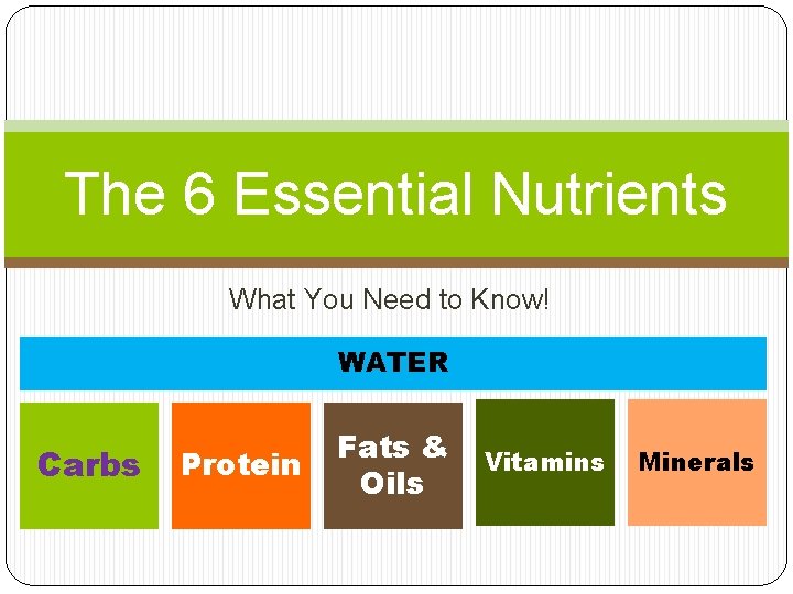 The 6 Essential Nutrients What You Need to Know! WATER Carbs Protein Fats &