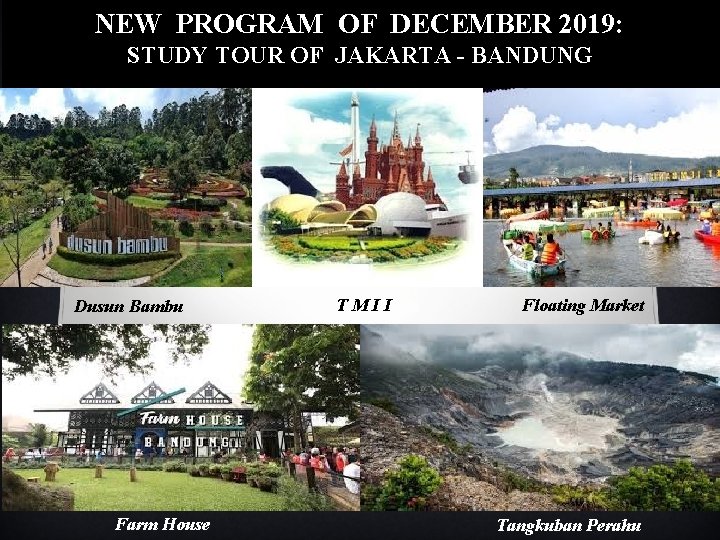 NEW PROGRAM OF DECEMBER 2019: STUDY TOUR OF JAKARTA - BANDUNG Dusun Bambu Farm