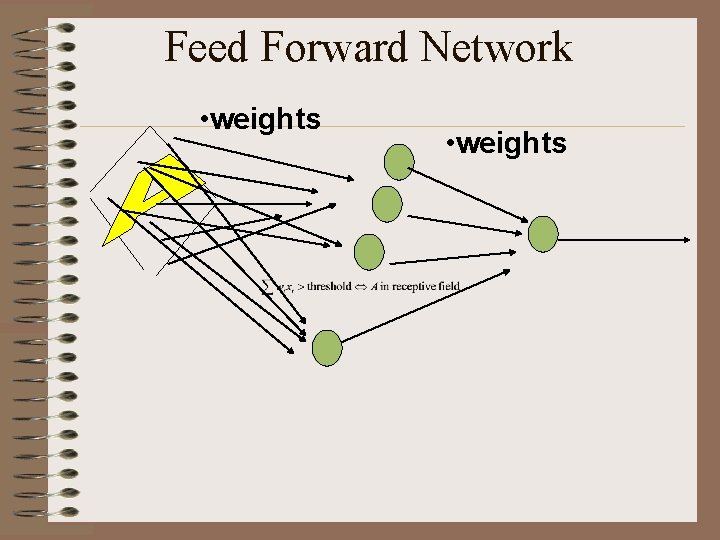 Feed Forward Network • weights 