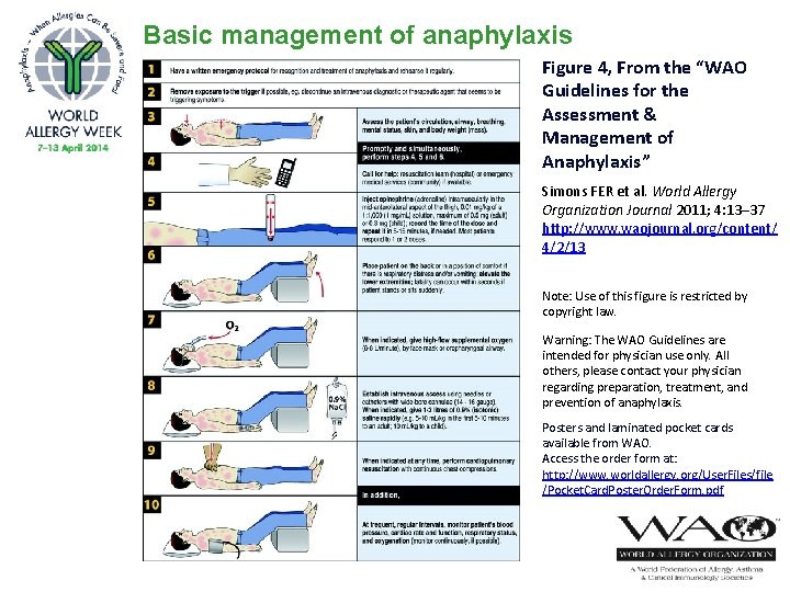 Basic management of anaphylaxis Figure 4, From the “WAO Guidelines for the Assessment &