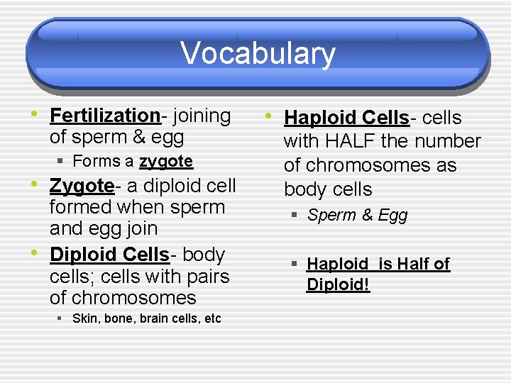 Vocabulary • Fertilization- joining of sperm & egg § Forms a zygote • Zygote- Vocabulary • Fertilization- joining of sperm & egg § Forms a zygote • Zygote-