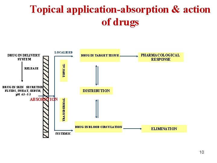 Topical application-absorption & action of drugs LOCALIZED DRUG IN TARGET TISSUE PHARMACOLOGICAL RESPONSE TOPICAL