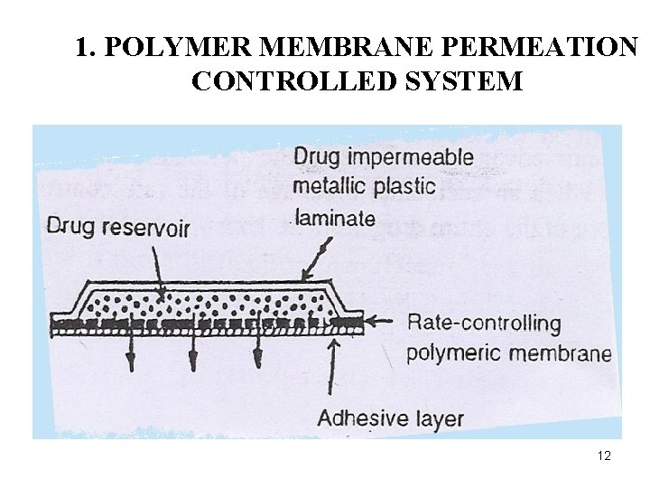 1. POLYMER MEMBRANE PERMEATION CONTROLLED SYSTEM 12 