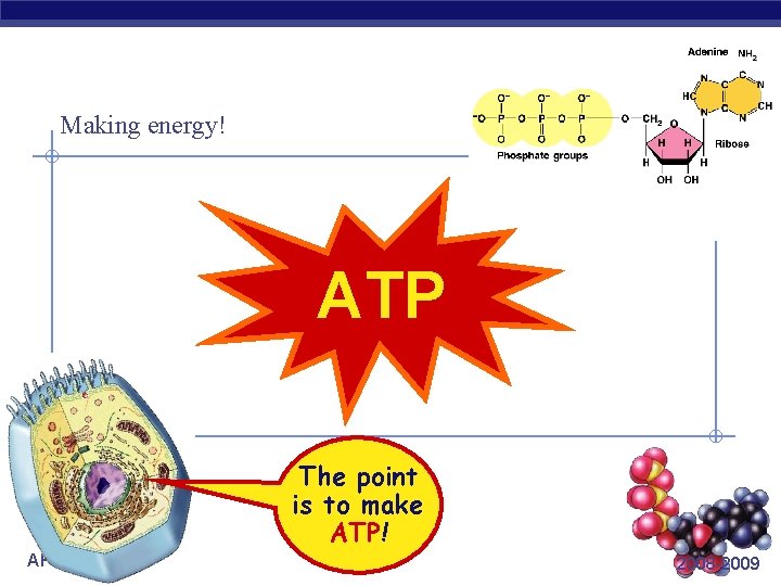 Making energy! ATP The point is to make ATP! AP Biology 2008 -2009 