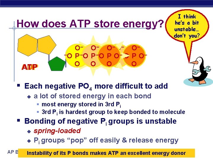 How does ATP store energy? AMP ADP ATP I think he’s a bit unstable…