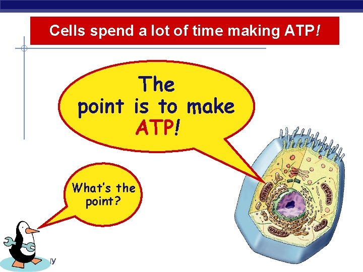 Cells spend a lot of time making ATP! The point is to make ATP!