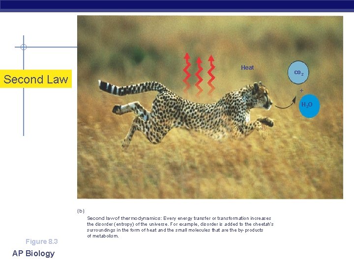 Heat Second Law co 2 + H 2 O (b) Figure 8. 3 AP