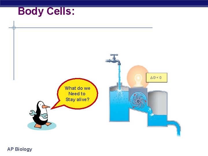Body Cells: ∆G < 0 What do we Need to Stay alive? AP Biology