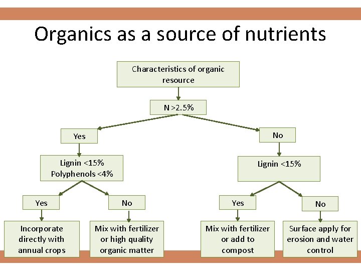 Organics as a source of nutrients Characteristics of organic resource N >2. 5% Yes