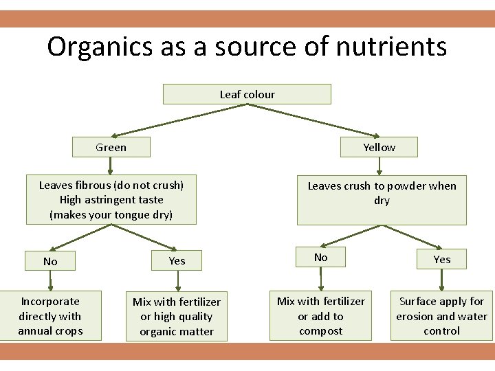 Organics as a source of nutrients Leaf colour Green Yellow Leaves fibrous (do not