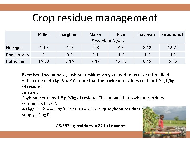 Crop residue management Millet Sorghum Nitrogen 4 -10 4 -9 Maize Rice Dryweight (g/kg)