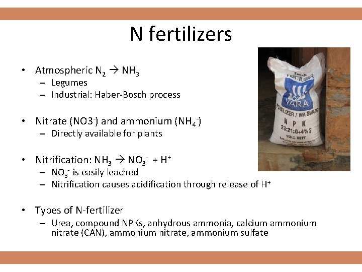 N fertilizers • Atmospheric N 2 NH 3 – Legumes – Industrial: Haber-Bosch process