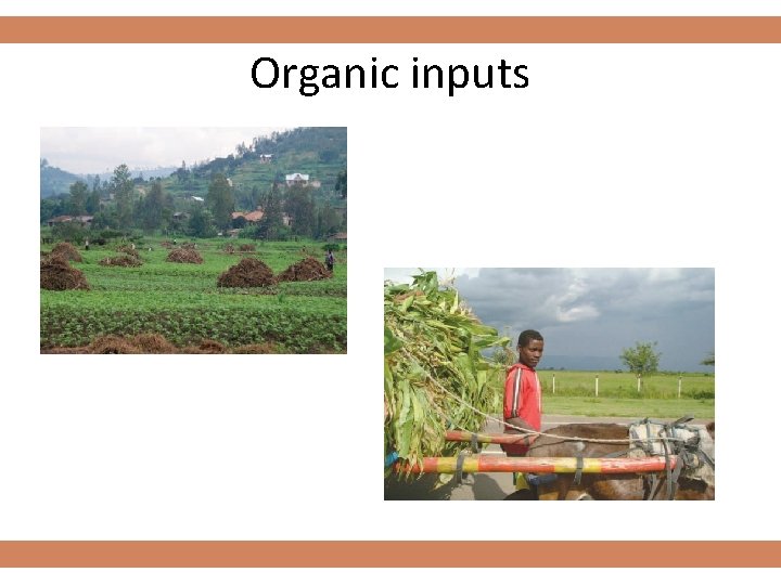 Organic inputs 