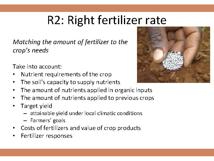 R 2: Right fertilizer rate Matching the amount of fertilizer to the crop’s needs