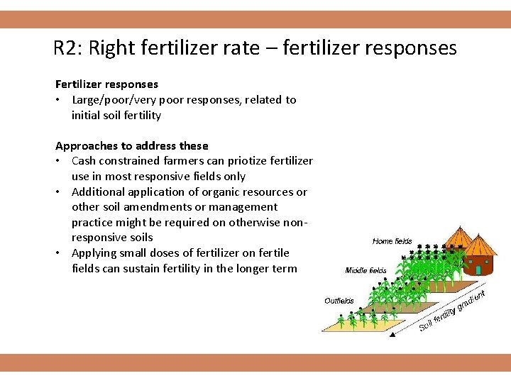 R 2: Right fertilizer rate – fertilizer responses Fertilizer responses • Large/poor/very poor responses,