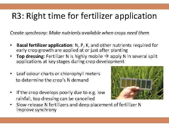 R 3: Right time for fertilizer application Create synchrony: Make nutrients available when crops
