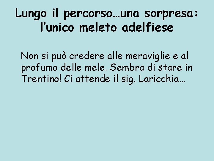 Lungo il percorso…una sorpresa: l’unico meleto adelfiese Non si può credere alle meraviglie e
