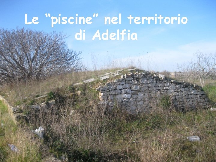 Le “piscine” nel territorio di Adelfia 