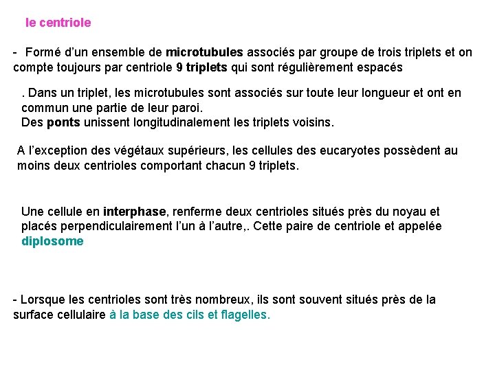 le centriole - Formé d’un ensemble de microtubules associés par groupe de trois triplets