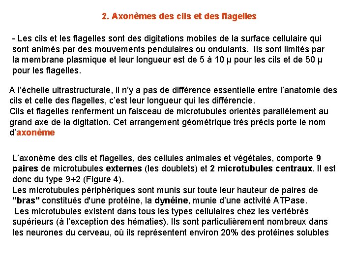 2. Axonèmes des cils et des flagelles - Les cils et les flagelles sont