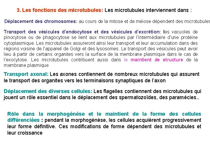 3. Les fonctions des microtubules: Les microtubules interviennent dans : Déplacement des chromosomes: au