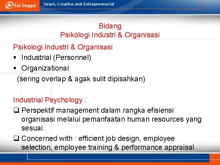 Bidang Psikologi Industri & Organisasi § Industrial (Personnel) § Organizational (sering overlap & agak