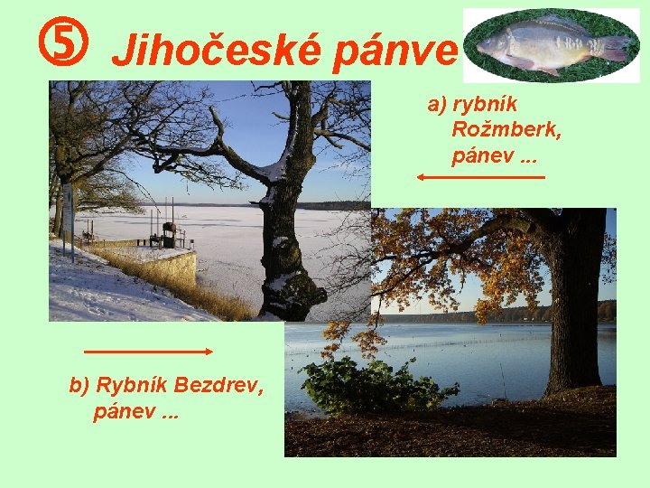 Jihočeské pánve a) rybník Rožmberk, pánev. . . b) Rybník Bezdrev, pánev. . Jihočeské pánve a) rybník Rožmberk, pánev. . . b) Rybník Bezdrev, pánev. .