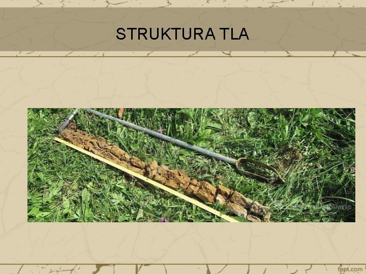 STRUKTURA TLA 