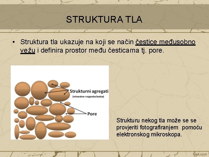 STRUKTURA TLA • Struktura tla ukazuje na koji se način čestice međusobno vežu i