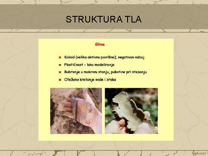 STRUKTURA TLA 