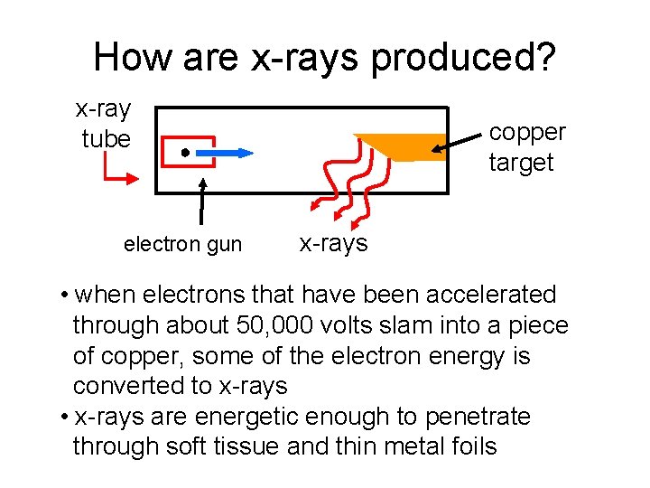 How are x-rays produced? x-ray tube electron gun copper target x-rays • when electrons