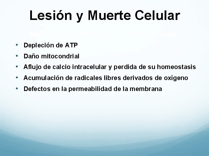 Lesión y Muerte Celular Mecanismos moleculares de la lesión celular • Depleción de ATP