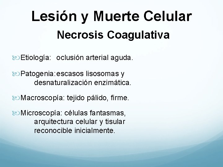 Lesión y Muerte Celular Necrosis Coagulativa Etiología: oclusión arterial aguda. Patogenia: escasos lisosomas y