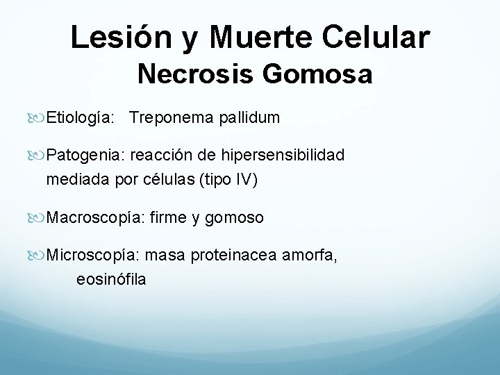 Lesión y Muerte Celular Necrosis Gomosa Etiología: Treponema pallidum Patogenia: reacción de hipersensibilidad mediada