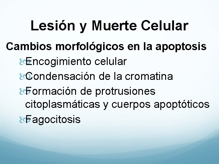 Lesión y Muerte Celular Cambios morfológicos en la apoptosis Encogimiento celular Condensación de la