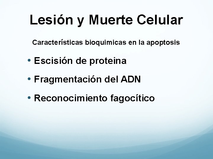 Lesión y Muerte Celular Características bioquimicas en la apoptosis • Escisión de proteina •