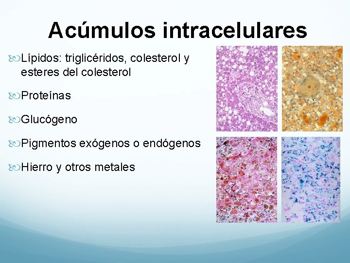 Acúmulos intracelulares Lípidos: triglicéridos, colesterol y esteres del colesterol Proteínas Glucógeno Pigmentos exógenos o