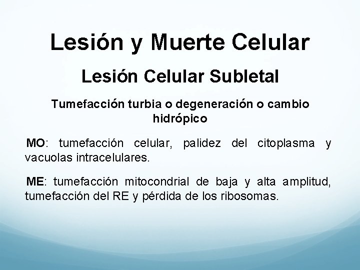 Lesión y Muerte Celular Lesión Celular Subletal Tumefacción turbia o degeneración o cambio hidrópico