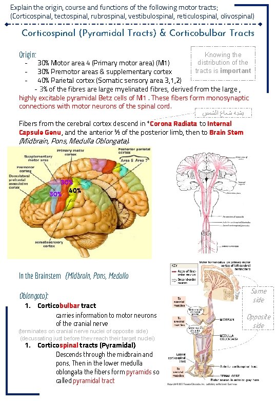 Explain the origin, course and functions of the following motor tracts; (Corticospinal, tectospinal, rubrospinal,