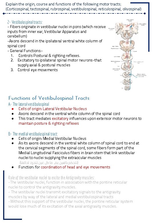 Explain the origin, course and functions of the following motor tracts; (Corticospinal, tectospinal, rubrospinal,