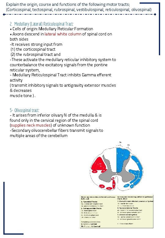 Explain the origin, course and functions of the following motor tracts; (Corticospinal, tectospinal, rubrospinal,