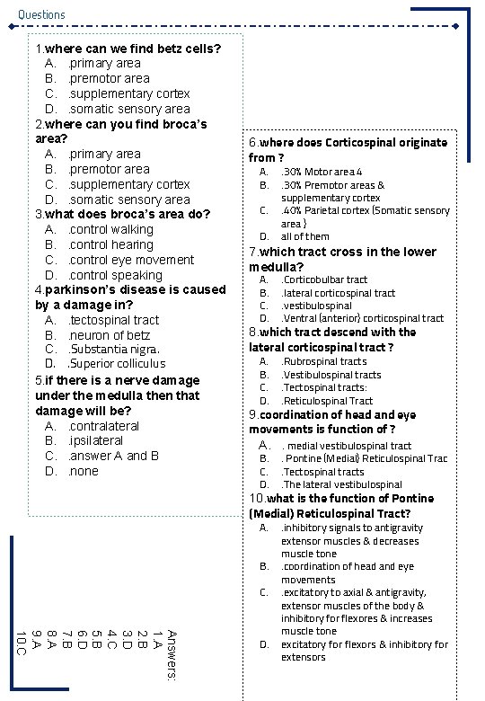 Questions 1. where can we find betz cells? A. . primary area B. .