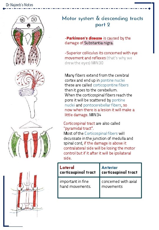 Dr. Najeeb’s Notes Motor system & descending tracts part 2 -Parkinson’s disease is caused