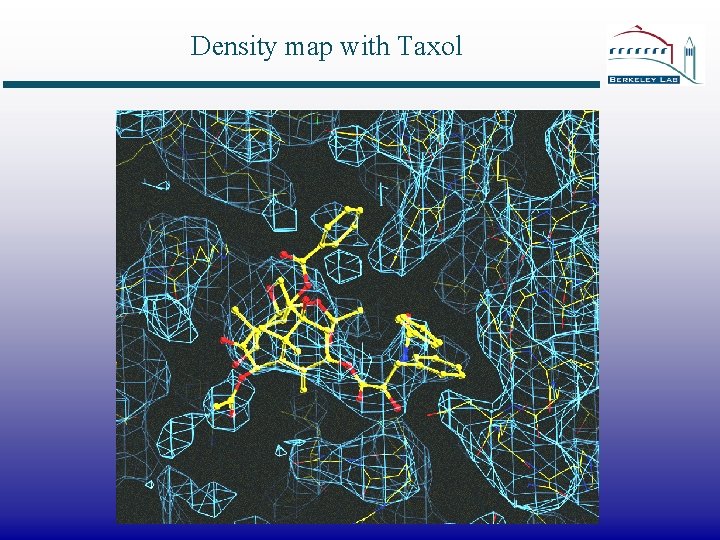 Density map with Taxol 