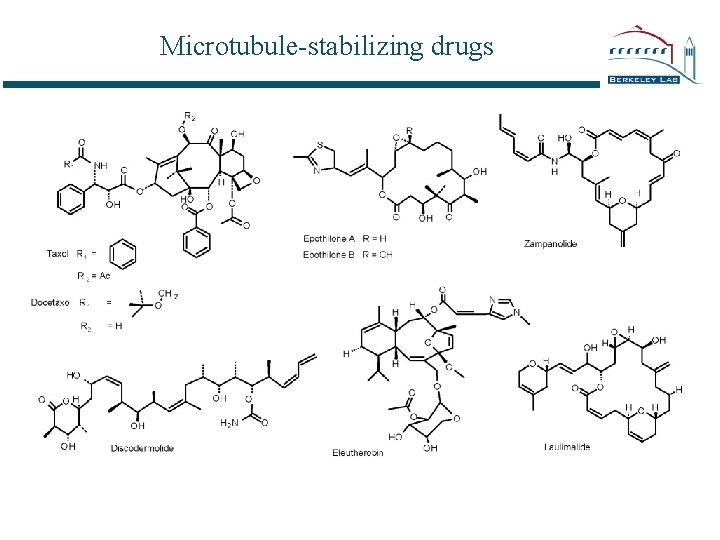 Microtubule-stabilizing drugs 