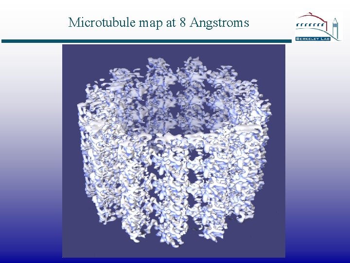 Microtubule map at 8 Angstroms 