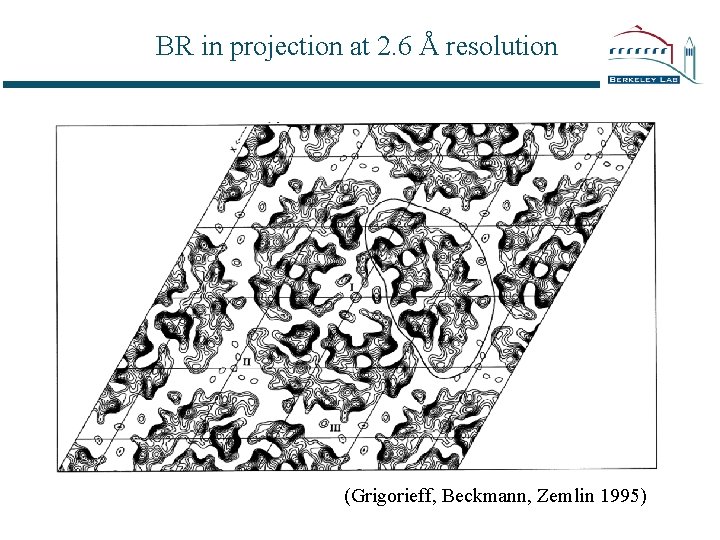 BR in projection at 2. 6 Å resolution (Grigorieff, Beckmann, Zemlin 1995) 