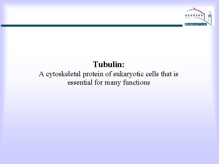Tubulin: A cytoskeletal protein of eukaryotic cells that is essential for many functions 