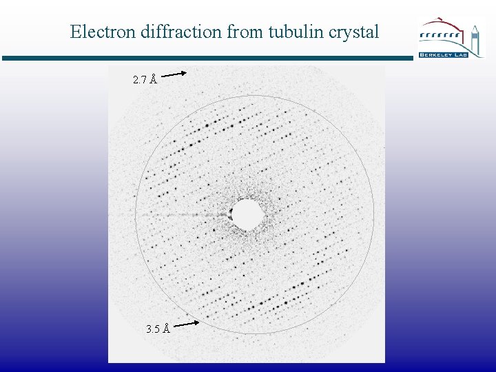 Electron diffraction from tubulin crystal 2. 7 Å 3. 5 Å 