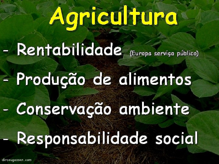 Agricultura - Rentabilidade (Europa serviço público) - Produção de alimentos - Conservação ambiente -